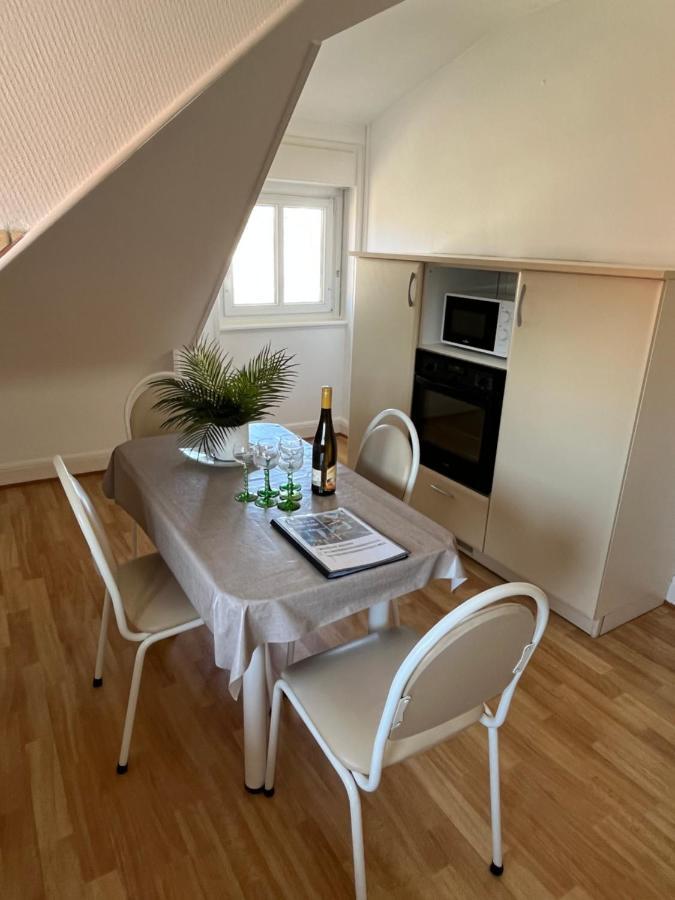 Bel Appartement Centre Climatise Parking Prive Colmar Kültér fotó