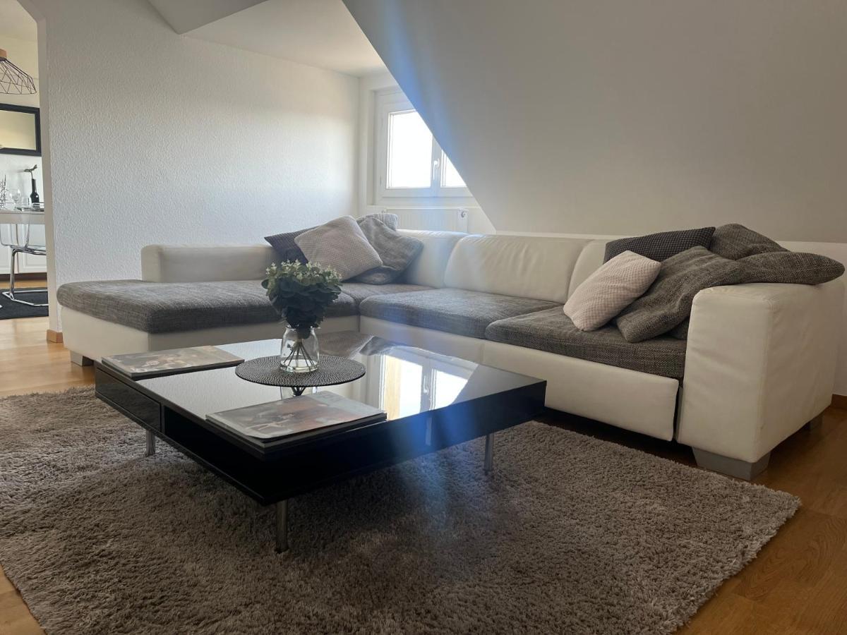 Bel Appartement Centre Climatise Parking Prive Colmar Kültér fotó