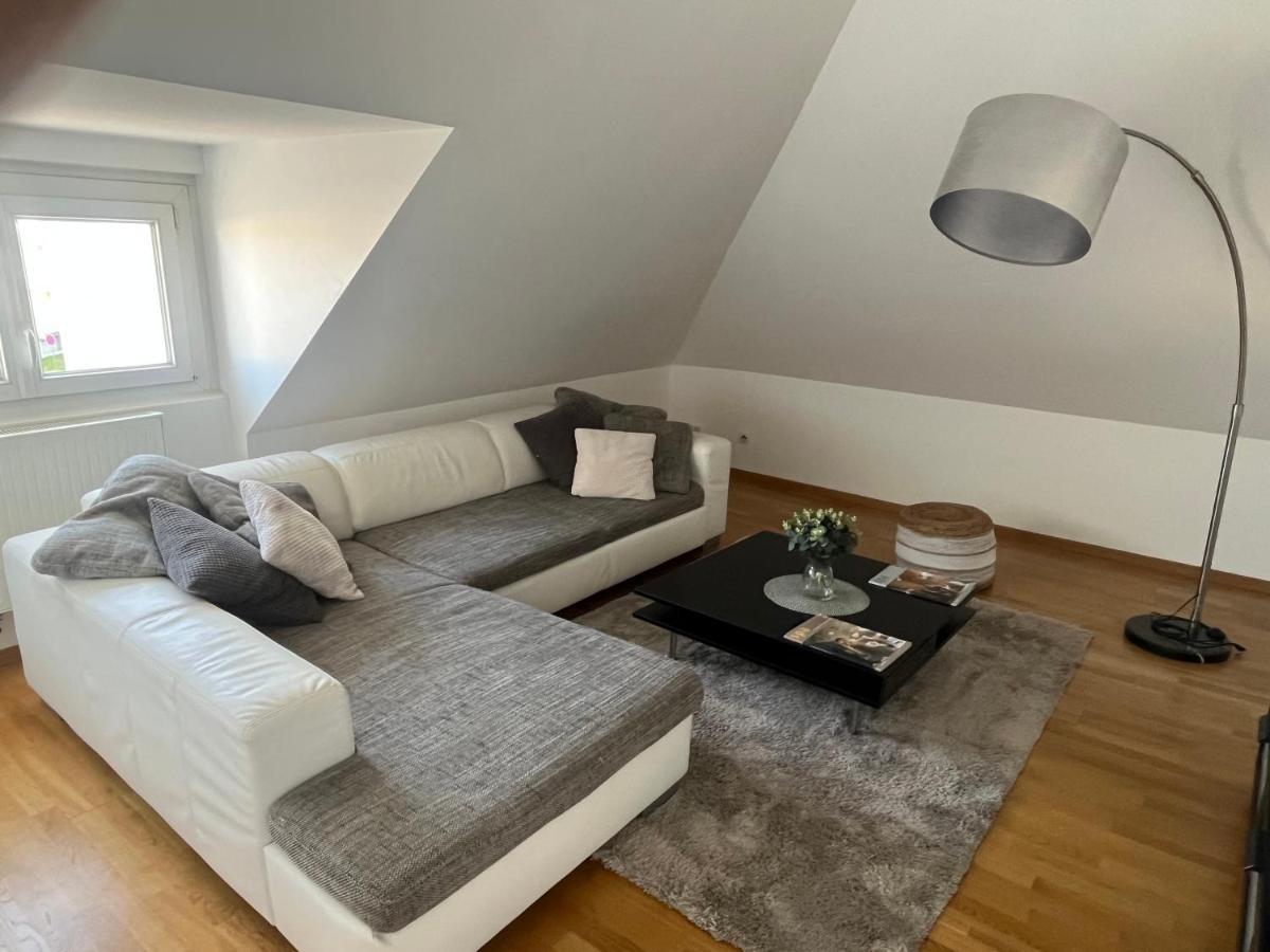 Bel Appartement Centre Climatise Parking Prive Colmar Kültér fotó