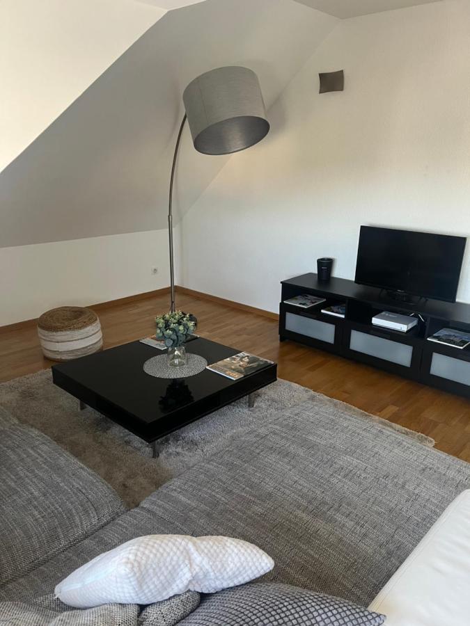 Bel Appartement Centre Climatise Parking Prive Colmar Kültér fotó