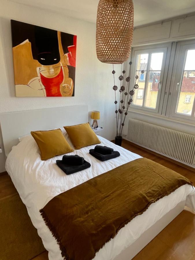 Bel Appartement Centre Climatise Parking Prive Colmar Kültér fotó