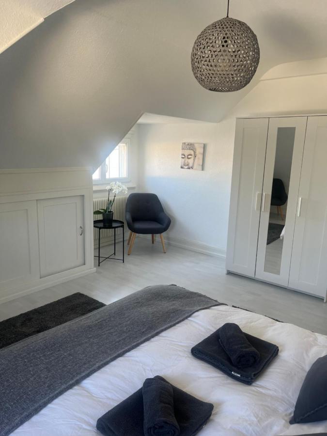 Bel Appartement Centre Climatise Parking Prive Colmar Kültér fotó